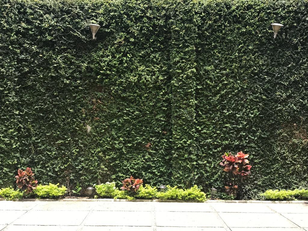 Real Avenida Hotel Tuxtla Gutierrez Bagian luar foto